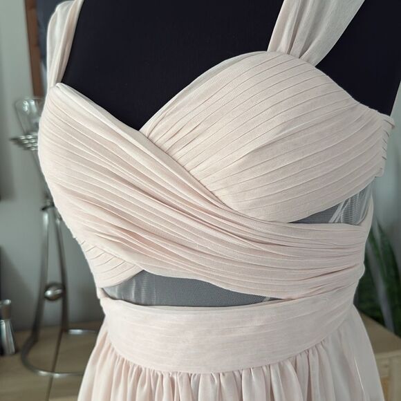 Birdy Grey Dusty Rose Pink Chiffon Full Length Mesh Cutout Elyse Dress - Picture 6 of 8